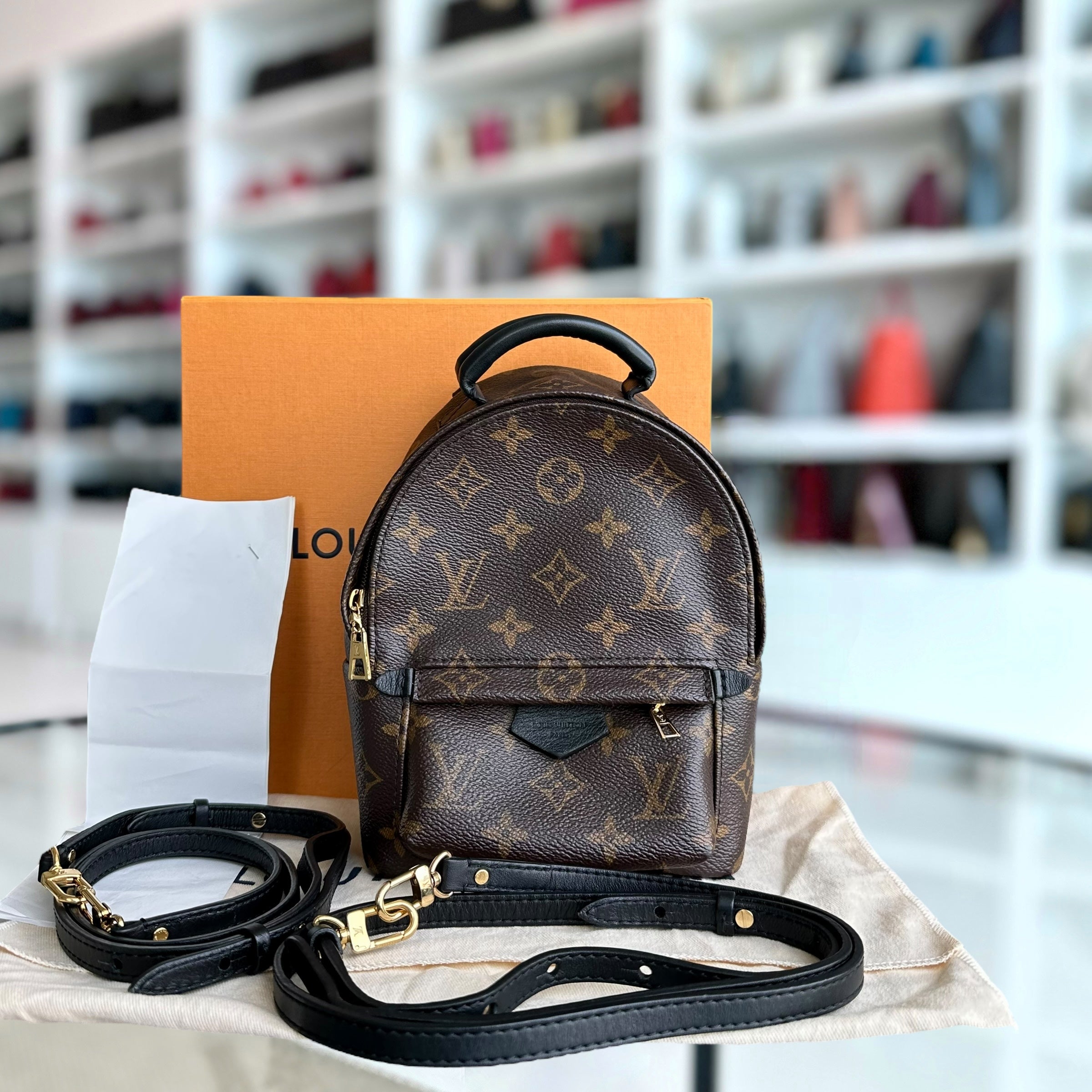 *Full Set, Receipt* LV Palm Spring Mini Monogram Canvas Backpack Louis Vuitton